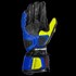 Bild von SPIDI HANDSCHUHE CARBO TRACK EVO